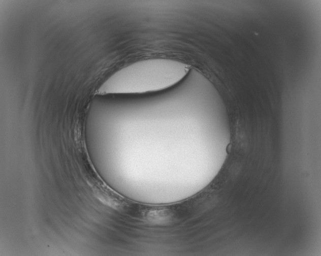 X0000077380173200610201052