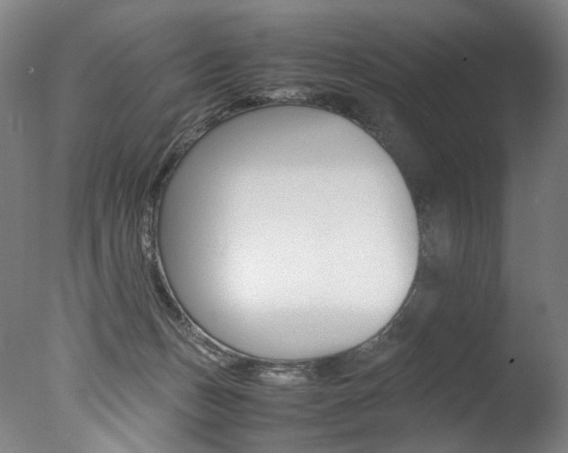 X0000077380175200610201052
