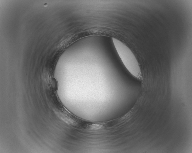 X0000077380176200610201052