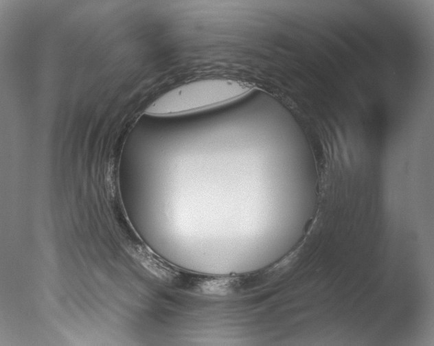 X0000077380178200610201052