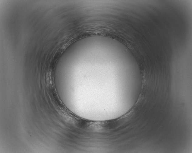 X0000077380182200610201052