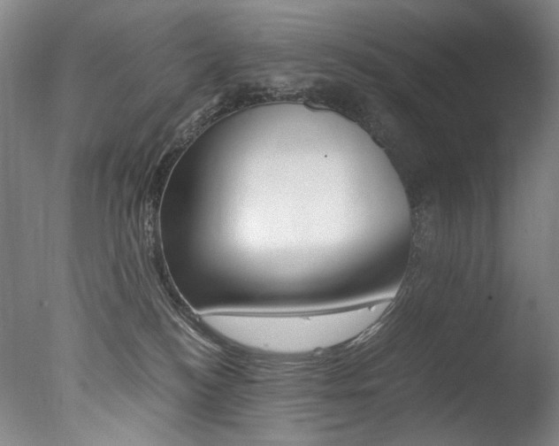 X0000077380184200610201052