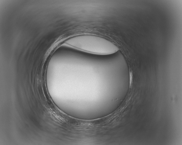 X0000077380195200610201051