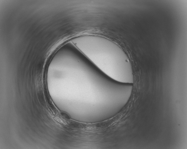 X0000077380196200610201051