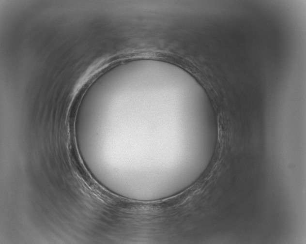 X0000077380198200610201051