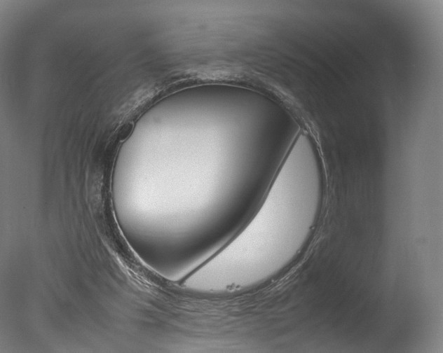 X0000077380201200610201051