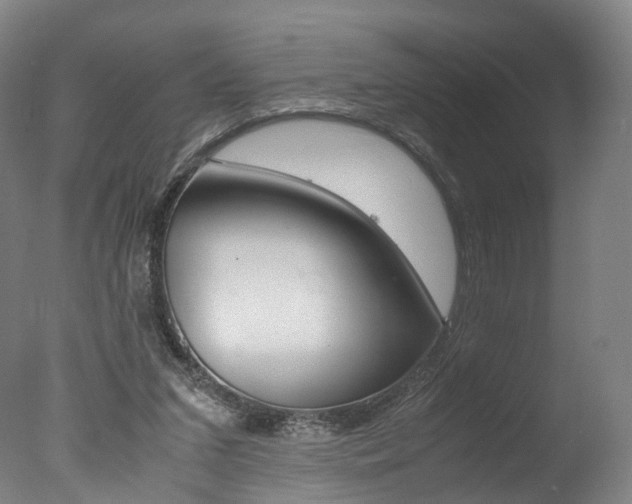 X0000077380207200610201051