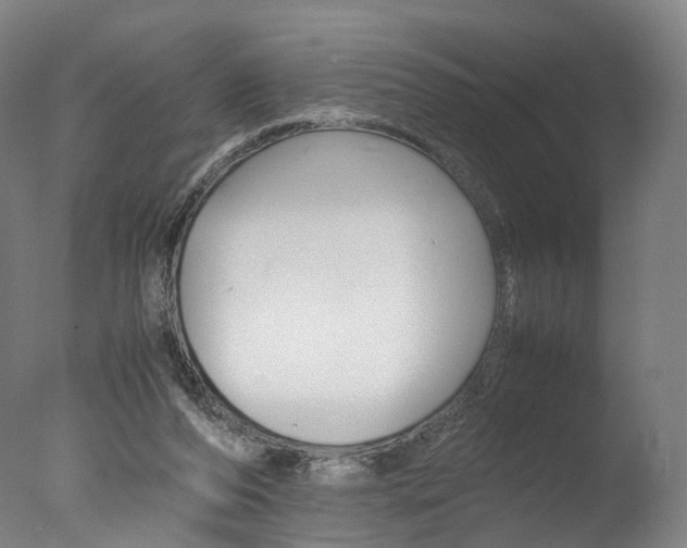 X0000077380208200610201051