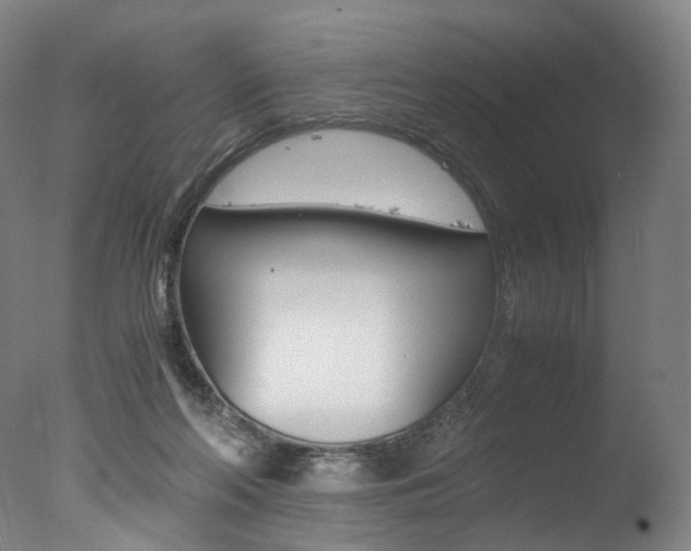X0000077380214200610201051