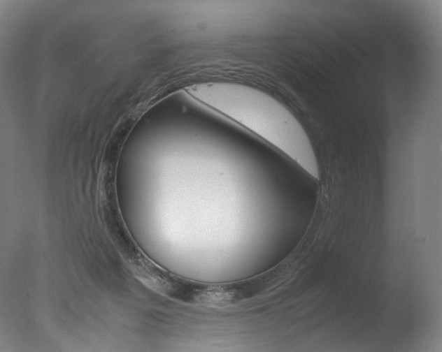 X0000077380217200610201051