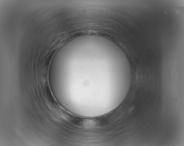 X0000077380218200610201051