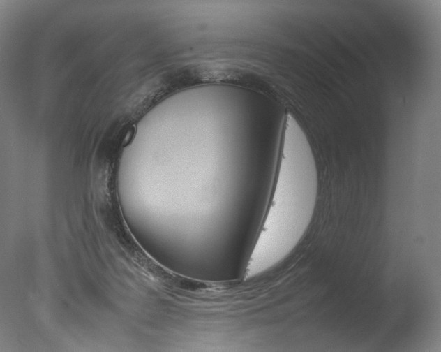 X0000077380219200610201051