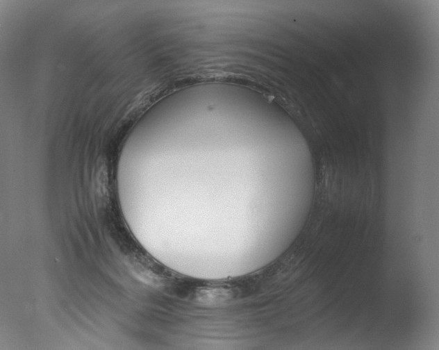 X0000077380220200610201051