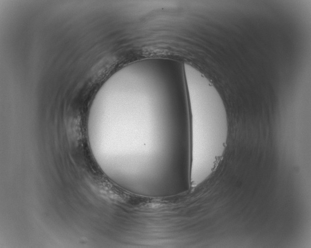 X0000077380224200610201051