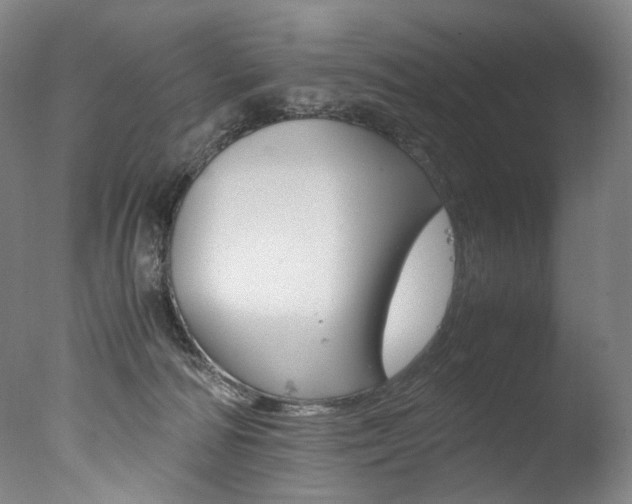 X0000077380226200610201051