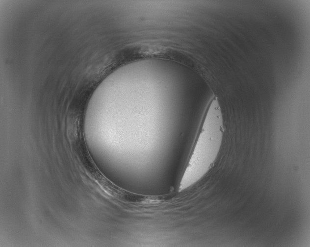 X0000077380227200610201051