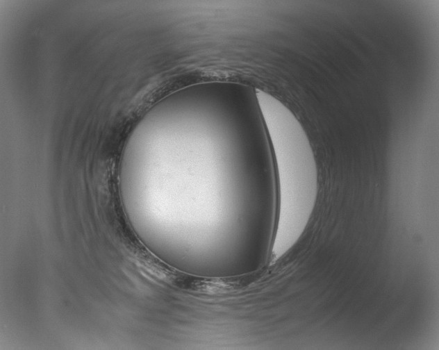 X0000077380229200610201051
