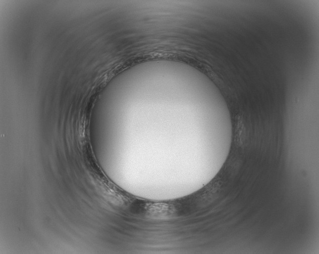X0000077380230200610201051