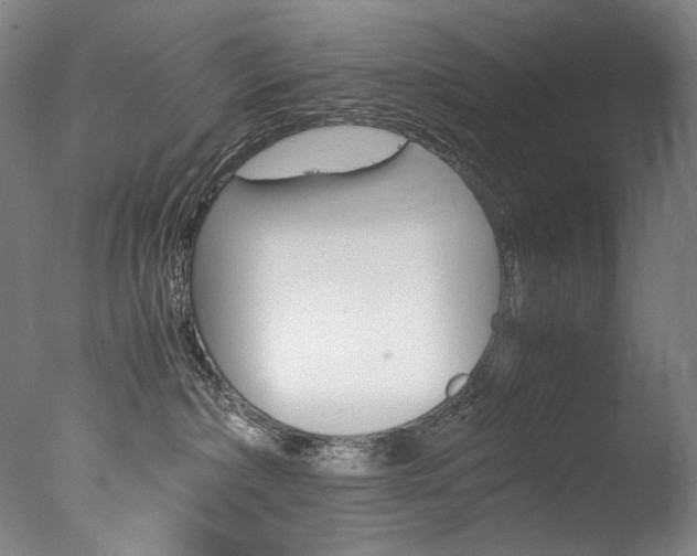 X0000077380236200610201051