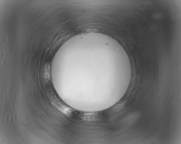 X0000077380240200610201051