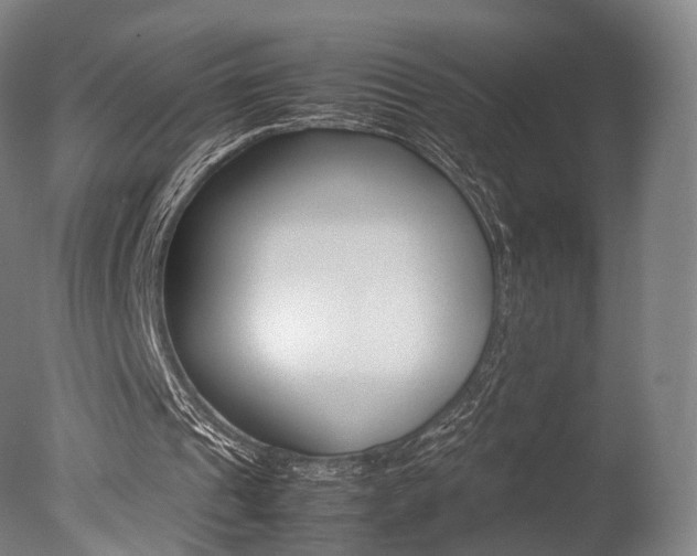 X0000077380241200610201050