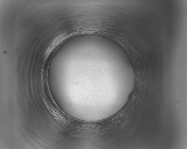 X0000077380242200610201050