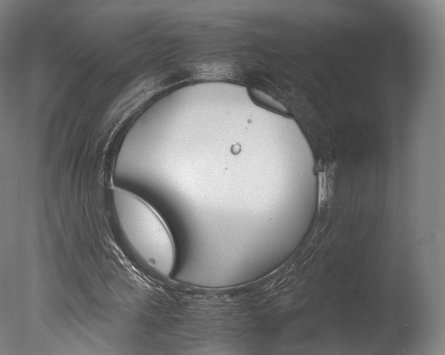 X0000077380243200610201050