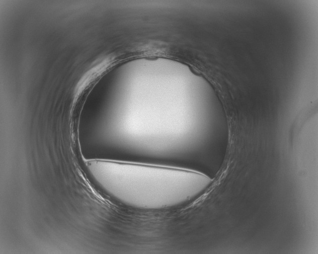 X0000077380245200610201050