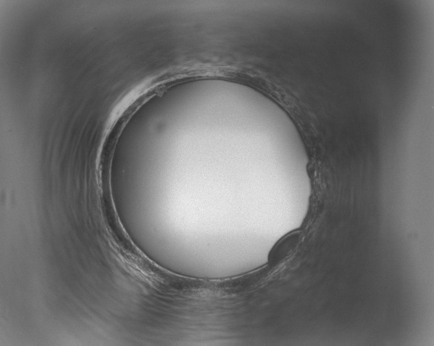 X0000077380246200610201050
