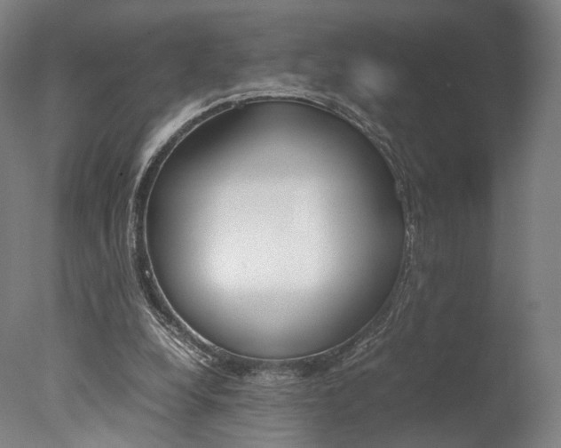 X0000077380248200610201050