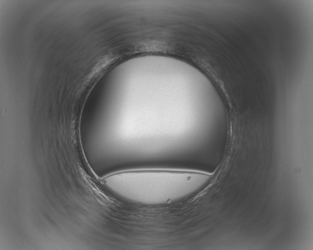 X0000077380249200610201050
