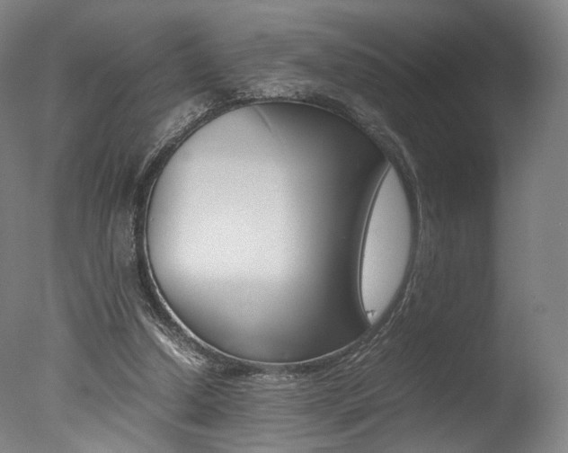 X0000077380250200610201050