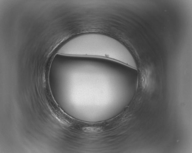 X0000077380251200610201050
