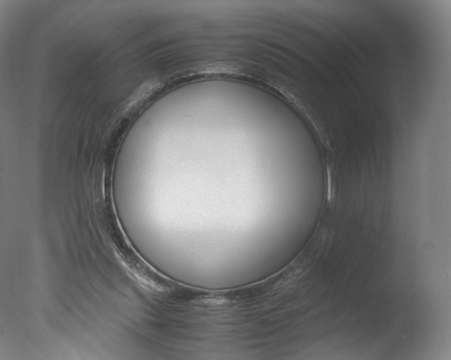 X0000077380253200610201050