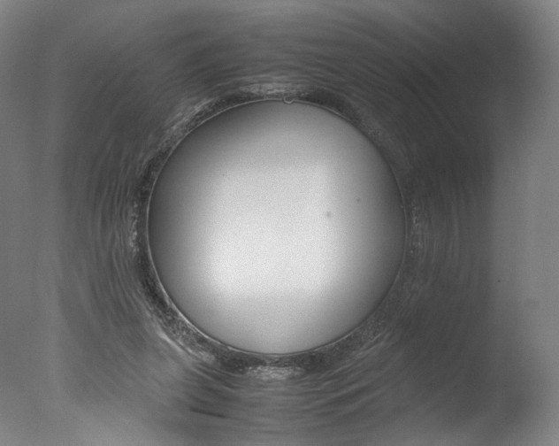 X0000077380255200610201050