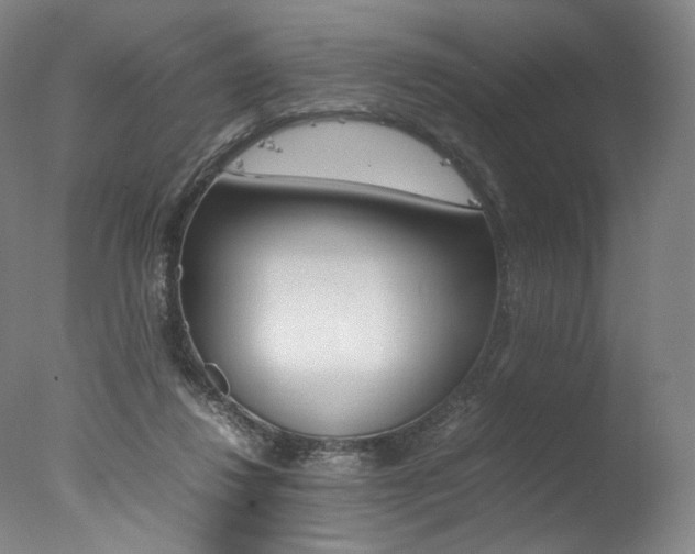 X0000077380260200610201050