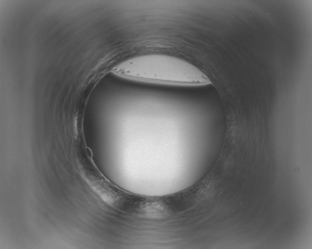 X0000077380262200610201050