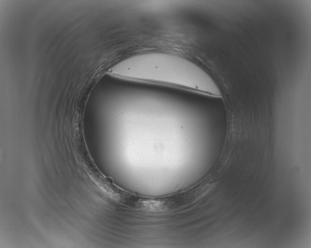 X0000077380265200610201050