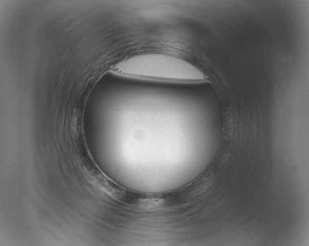 X0000077380266200610201050