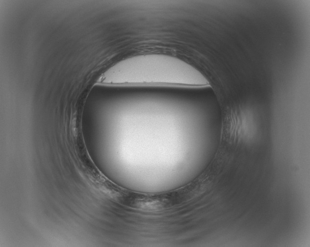 X0000077380267200610201050