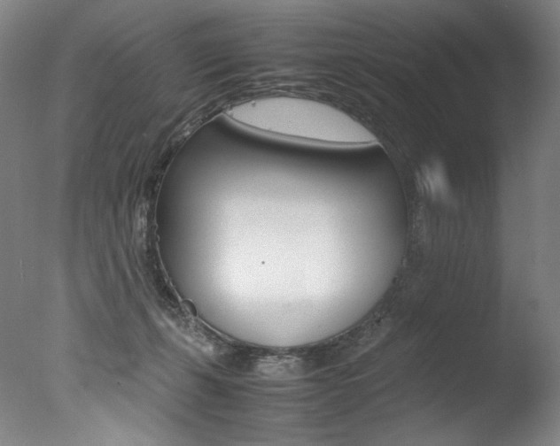 X0000077380271200610201050