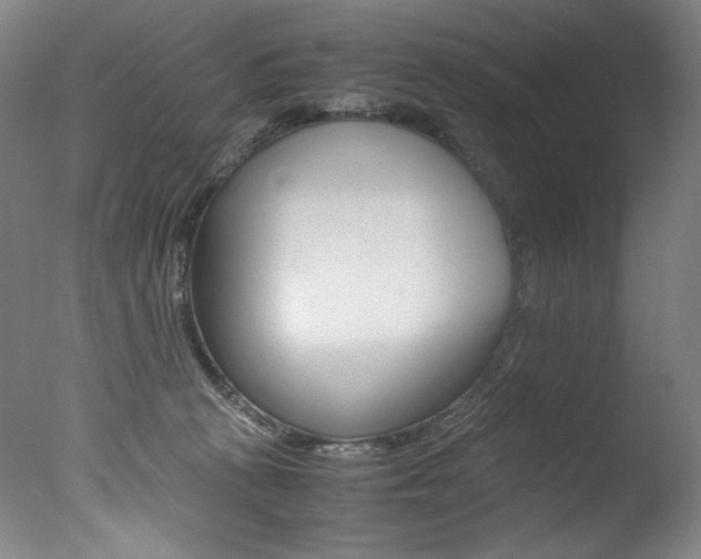 X0000077380273200610201050