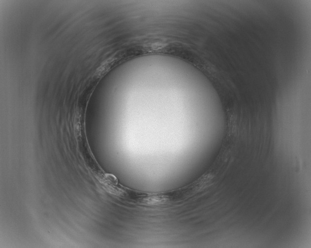 X0000077380274200610201050