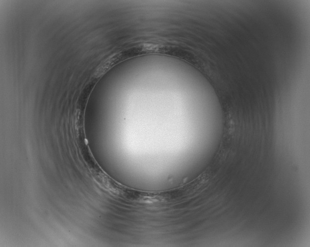 X0000077380275200610201050