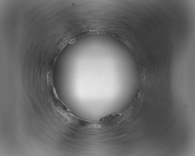 X0000077380276200610201050