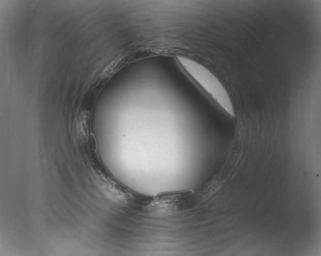 X0000077380280200610201051