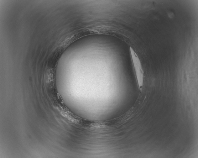 X0000077380284200610201051