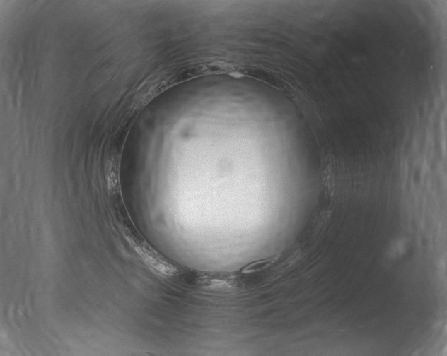 X0000077380285200610201051
