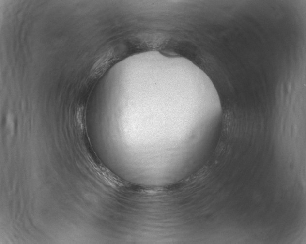 X0000077380286200610201051