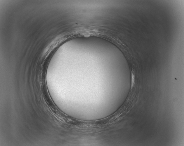 X0000077380291200610201050